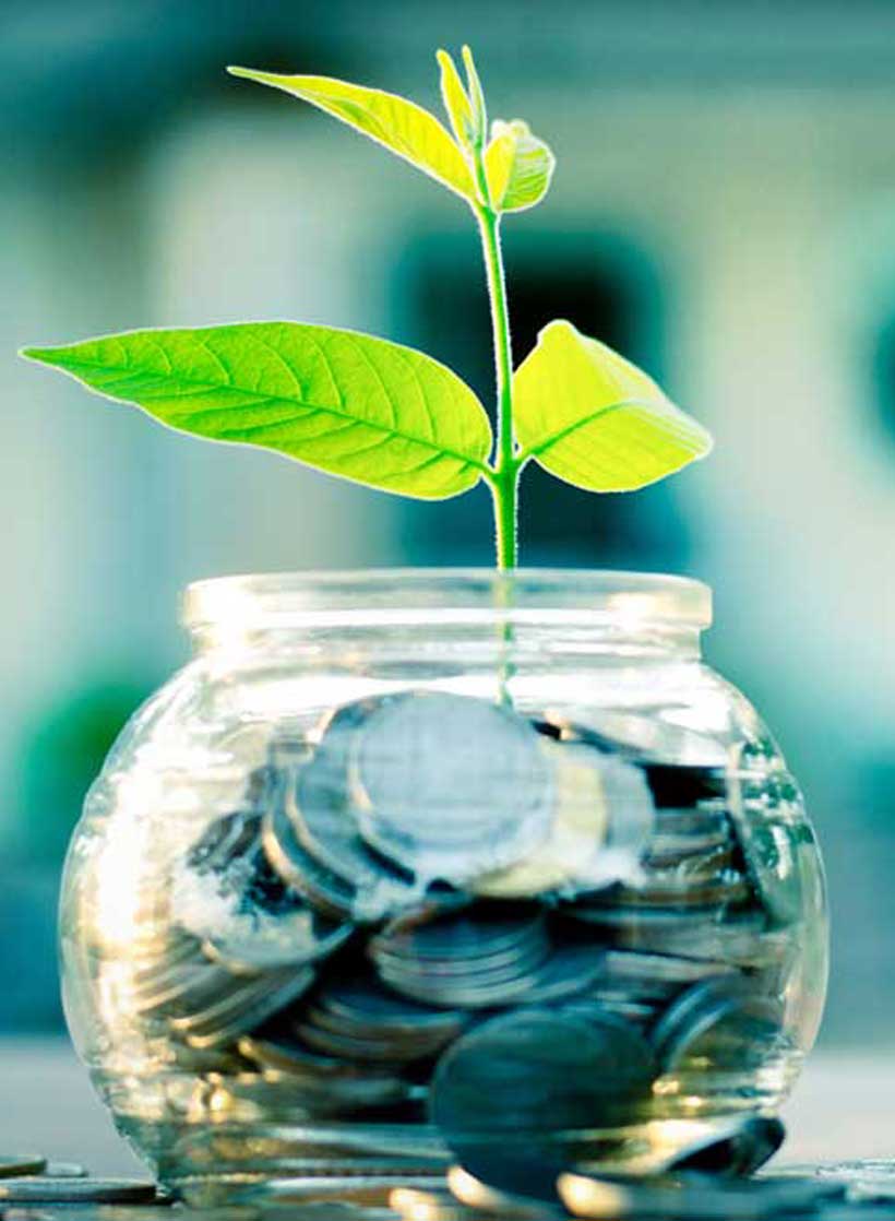 Help to Grow Mastering Money Basics